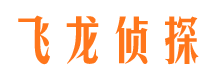 恩平侦探调查公司